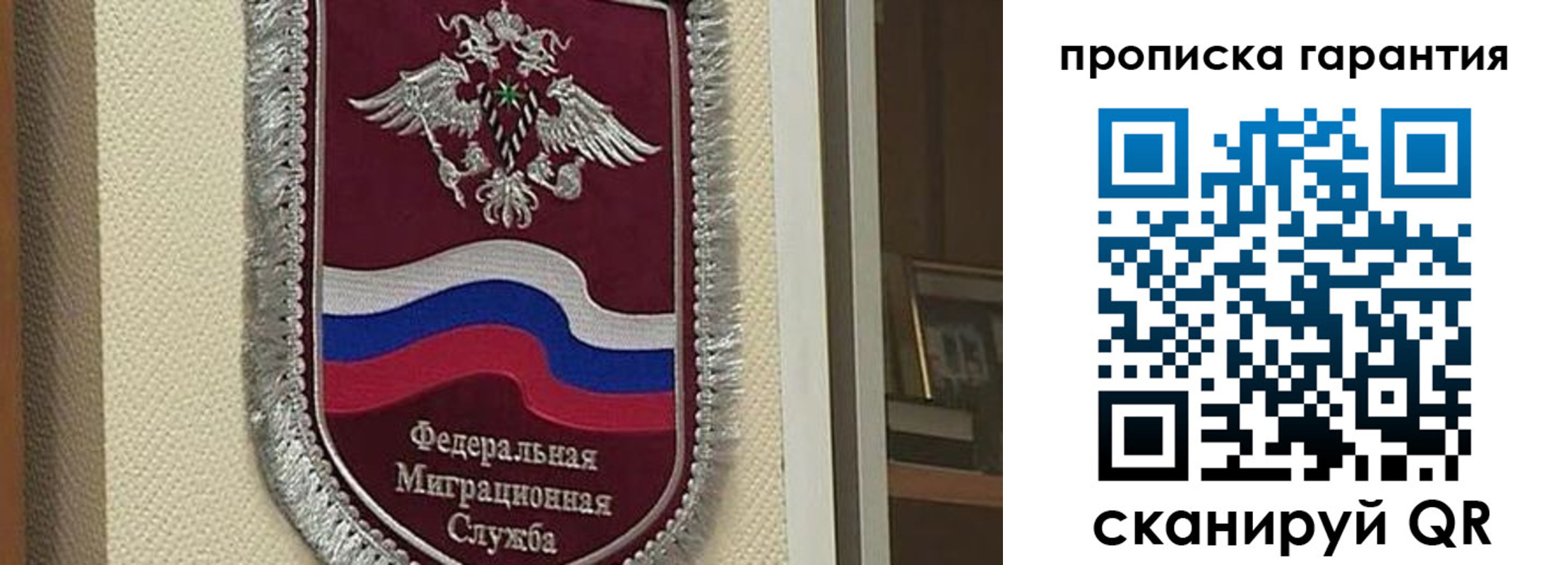прописка в Сланцах
